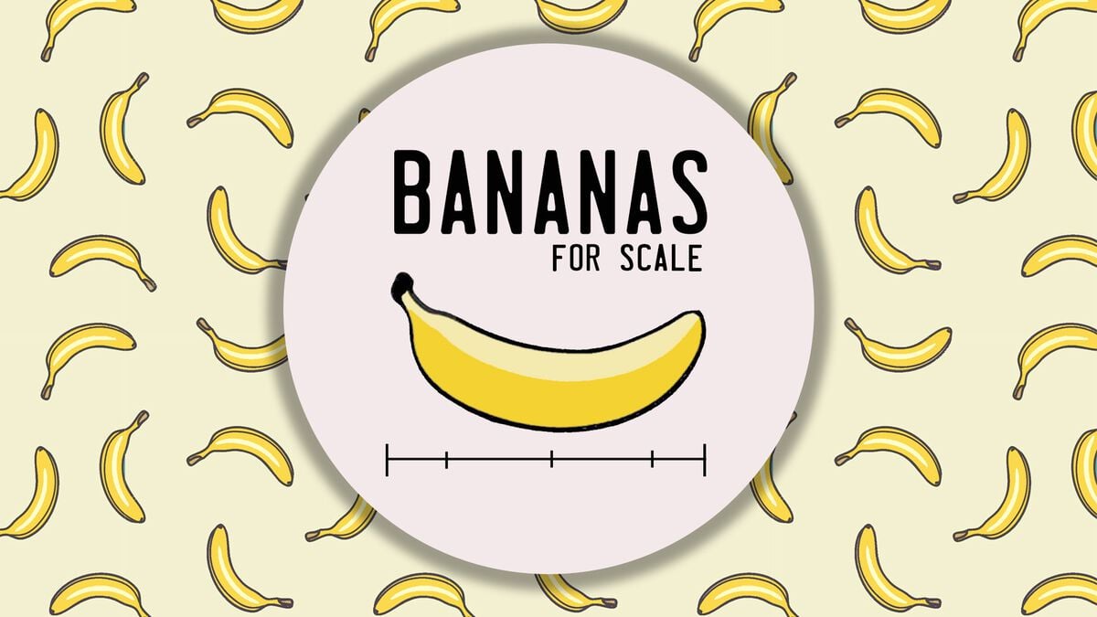 Bananas for Scale image number null